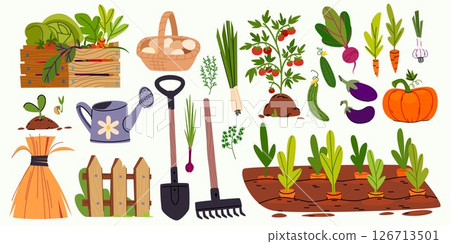 Gardening tools and vegetables set Gardening tools and vegetables set 126713501