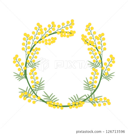 Mimosa round frame_vector illustration Mimosa round frame_vector illustration 126713596