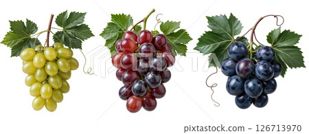 Fresh Grapes on a Transparent Background for Creative Use 126713970