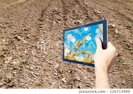 Exploring the Beauty of Nature Displayed in a Wheat Field with a Digital Interactive Overlay 126713999