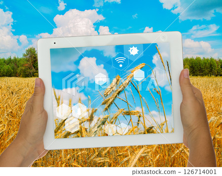 Exploring the Beauty of Nature A Tablet Displayed in a Wheat Field with a Digital Interactive Overlay Exploring the Beauty of Nature A Tablet Displayed in a Wheat Field with a Digital Interactive Overlay 126714001