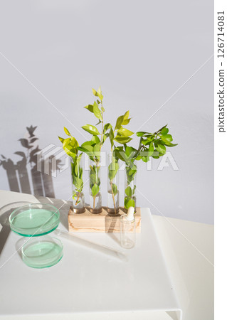 Science and nature concept Science and nature concept 126714081