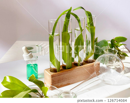 Science and nature concept 126714084