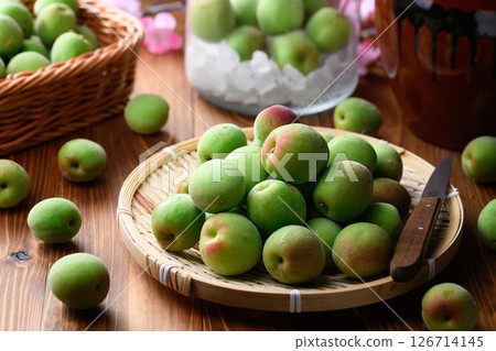 收成的紀州南口李子、青李子 收成的紀州南口李子、青李子 126714145