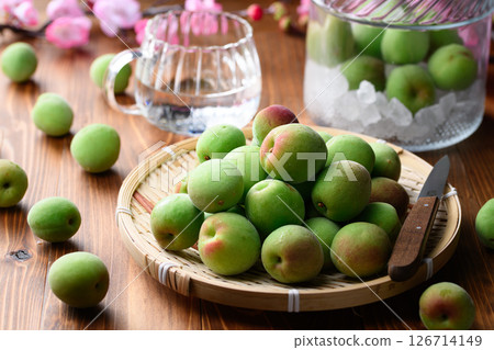 Harvested Kishu Nankou plums, green plums Harvested Kishu Nankou plums, green plums 126714149