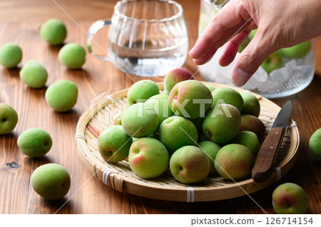 收成的紀州南口李子、青李子 收成的紀州南口李子、青李子 126714154