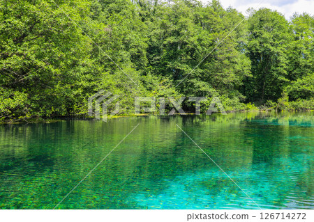 Crystal clear, green aquatic-plants full, waters of Sveti Naum (Saint Naum) springs on the Black Drim river near Ohrid lake, North Macedonia 126714272