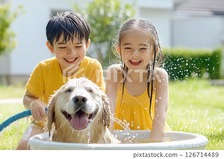 A dog, a boy and a girl playing with water in the garden 126714489