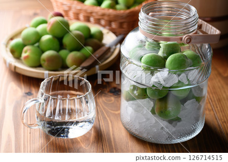 採摘紀州南口梅子和青梅，釀造梅酒 126714515