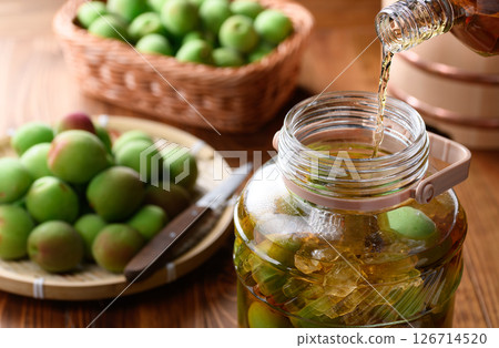 Harvested Kishu Nankou plums and green plums to make plum wine Harvested Kishu Nankou plums and green plums to make plum wine 126714520