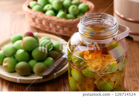 Harvested Kishu Nankou plums and green plums to make plum wine Harvested Kishu Nankou plums and green plums to make plum wine 126714524