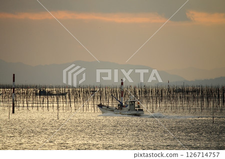 Omuta City Ariake Sea Nori field, Omuta City Ariake Sea Nori field, 126714757