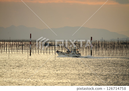 Omuta City Ariake Sea Nori field, Omuta City Ariake Sea Nori field, 126714758