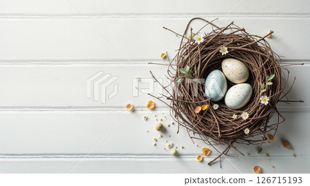 Delicate Spring Bird's Nest with Speckled Robin Eggs and Scattered Daisies on Whitewash 126715193