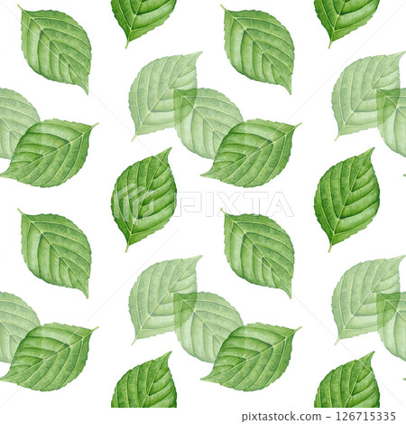 Pattern of watercolor green leaves isolated on a white background. Good for postcards, invitations, greeting cards, wallpaper, textiles 126715335