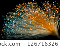 Fiber Optic Lights: A Stunning Display of Illuminated Threads Against a Dark Background 126716326