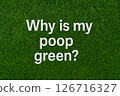 Intriguing Query About Green Poop: A Grass-Like Background 126716327