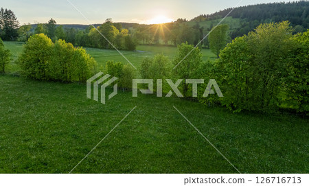 Fresh Spring Blooming Meadow with Trees on Background. Beautiful Lush Vegetation with Sunset Light. Aerial View. Fresh Spring Blooming Meadow with Trees on Background. Beautiful Lush Vegetation with Sunset Light. Aerial View. 126716713