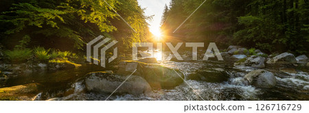 A Bright Small River Flowing Through Lush Spring Forest during Sunset Hour. Fresh Lush Vegetation, Low Angle of View. Wide Angle View. Beautiful Nature Landscape, Natural Background. A Bright Small River Flowing Through Lush Spring Forest during Sunset Hour. Fresh Lush Vegetation, Low Angle of View. Wide Angle View. Beautiful Nature Landscape, Natural Background. 126716729