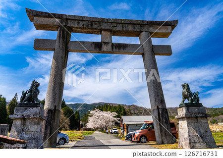 茅部神社：春天櫻花盛開的參道和大鳥居 4，岡山縣真庭市 126716731