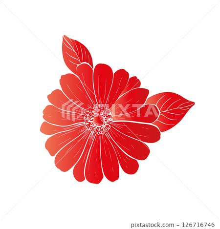 Vector delicate Gerbera with leaves. Hand painted linear contour chrysanthemum, osteospermum, chamomile flower. Graphic clipart isolated. Botanical, tattoo and wedding illustration. For designers 126716746