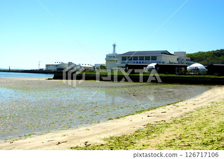 Tsuyazaki Beach, Fukutsu Beach Area, Fukuoka Prefecture 126717106