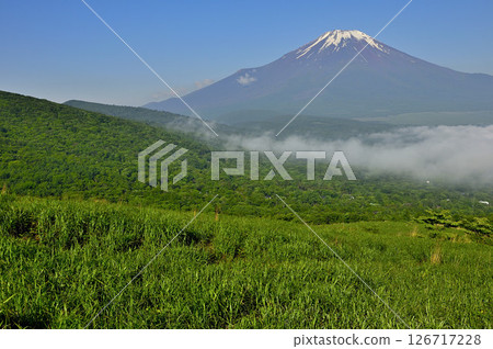 從丹澤的Teppokinoto(Myojinyama)眺望富士山,這是一座夏季長滿草的山脈 從丹澤的Teppokinoto(Myojinyama)眺望富士山,這是一座夏季長滿草的山脈 126717228