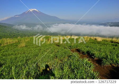 A mountain path overgrown with summer grass and Mt. Fuji from Teppokinoto (Myojinyama) in Tanzawa 126717229