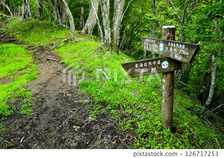 丹澤山脈的高足山、高宗境界嶺、東海自然步道嶺 丹澤山脈的高足山、高宗境界嶺、東海自然步道嶺 126717253