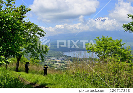 夏季從丹澤山脈甲州邊界山脊的高足山頂上看到的富士山 126717258