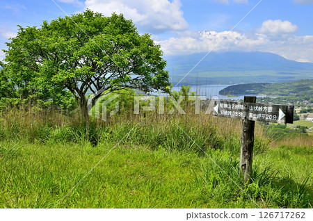 The Mayumi tree and Mt. Fuji on the summit of Mt. Takasashi, on the Koshu border ridge of the Tanzawa Mountains The Mayumi tree and Mt. Fuji on the summit of Mt. Takasashi, on the Koshu border ridge of the Tanzawa Mountains 126717262
