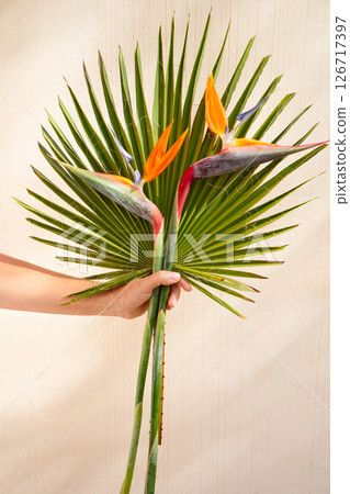 tropical leaves greenery tropical leaves greenery 126717397