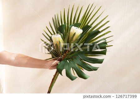tropical leaves greenery tropical leaves greenery 126717399