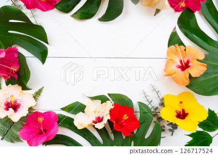 Tropical flowers and leaves, summer vacational background 126717524