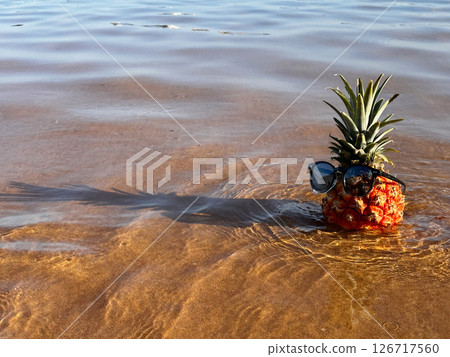 pinapple ob a beach pinapple ob a beach 126717560