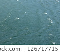 The sparkle of the sea surface rippling in the wind 126717715