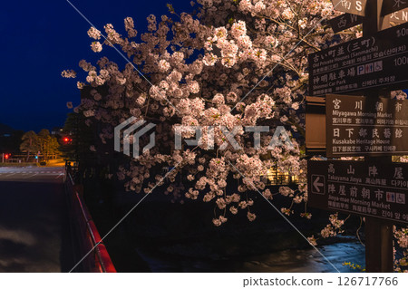 250422 中橋櫻 z017 126717766