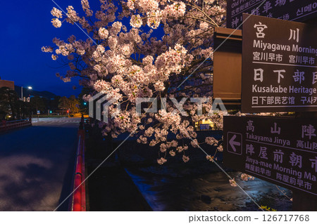 250422 中橋櫻 z021 126717768