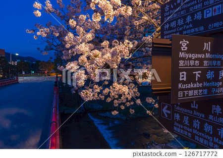 250422 Nakahashi Sakura z030 126717772