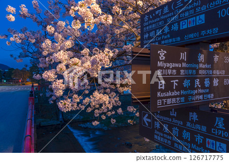 250422 中橋櫻 z035 126717775