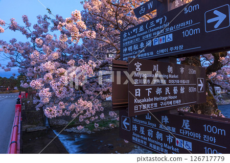 250422 中橋櫻 z055 126717779