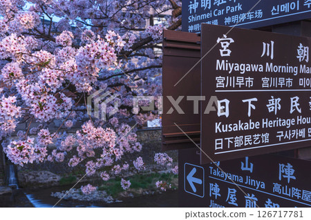 250422 Nakahashi Sakura z063 126717781