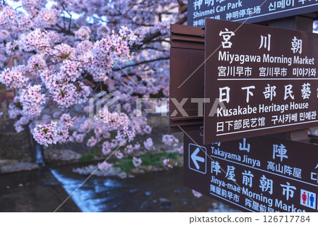 250422 中橋櫻 z079 126717784