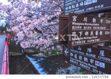 250422 中橋櫻 z086 126717788