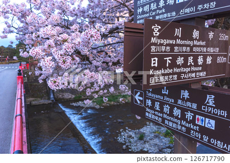 250422 Nakahashi Sakura z092 250422 Nakahashi Sakura z092 126717790