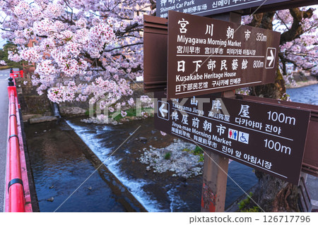 250422 中橋櫻 z121 250422 中橋櫻 z121 126717796