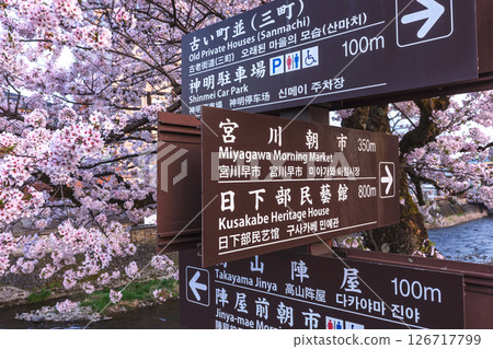 250422 中橋櫻子140 126717799