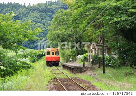 Kominato Railway "Kazusa Okubo Station and train surrounded by the greenery of the mountains" 126717841