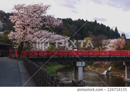 250422 Nakahashi Sakura z167 250422 Nakahashi Sakura z167 126718135