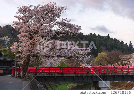 250422 Nakahashi Sakura z170 126718136